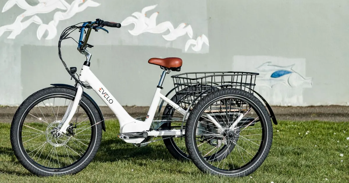 How Tricycles Handle Differently From Bicycles – EVELO