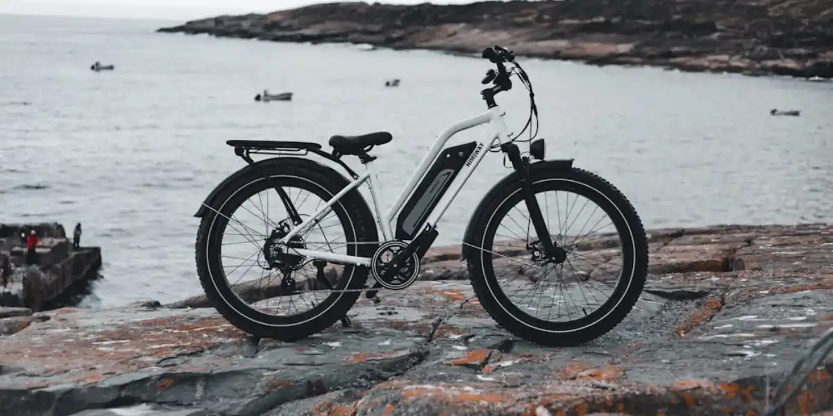 Unveiling the 3 Must Known Pros and Cons of Fat Tire in Ebikes